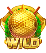 wild super golf drive